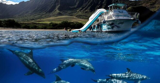 Oahu: Dolphin Watching With Lunch and Ocean Sports - Inclusions and Amenities