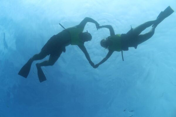 Oahu: Dolphin Watching With Lunch and Ocean Sports - Dolphin Watching