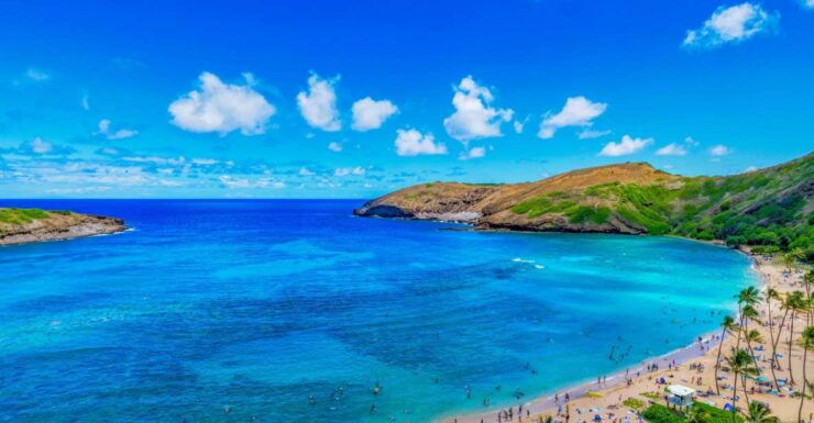 Oahu: Full-Day Island Highlights Tour With Transfer - Activity Details