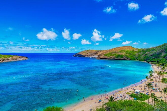 Oahu: Full-Day Island Highlights Tour With Transfer - Highlights