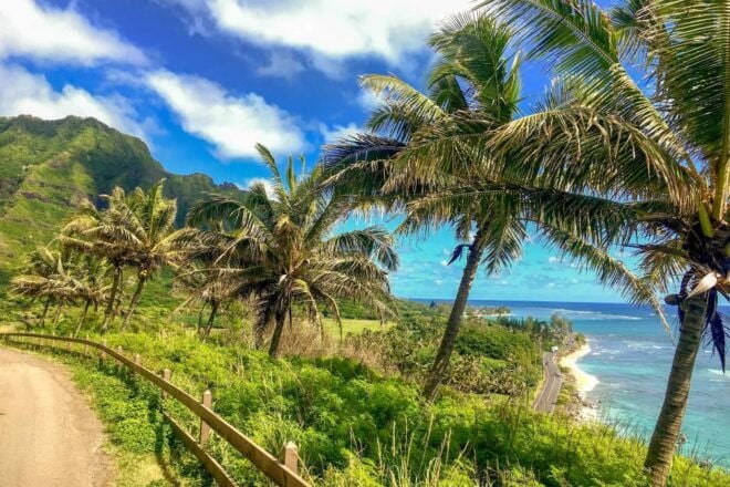Oahu: Full-Day Island Highlights Tour With Transfer - Common Questions