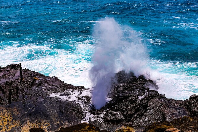 Oahu Full-Day Sightseeing Tour Plus Snorkeling  - Honolulu - Directions