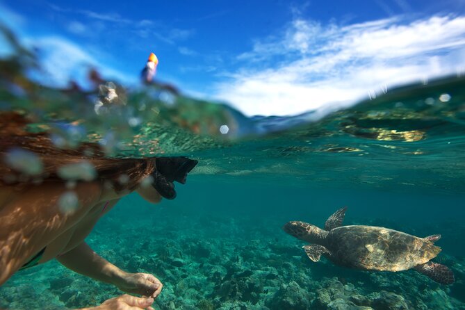 Oahu: Full-Day, Small-Group Circle Island Tour W/ Dole  - Honolulu - Small Group Advantage and General Information