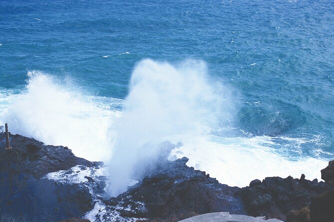 Oahu Grand Circle Island Tour - Common Questions