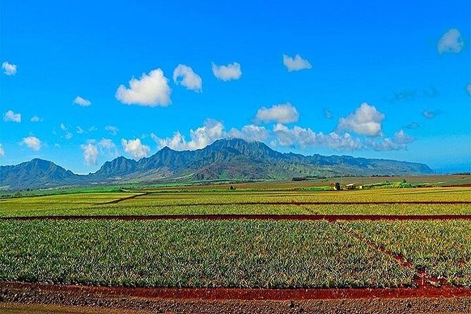 Oahu Grand Circle Island Tour Departing From the Big Island - Itinerary Overview