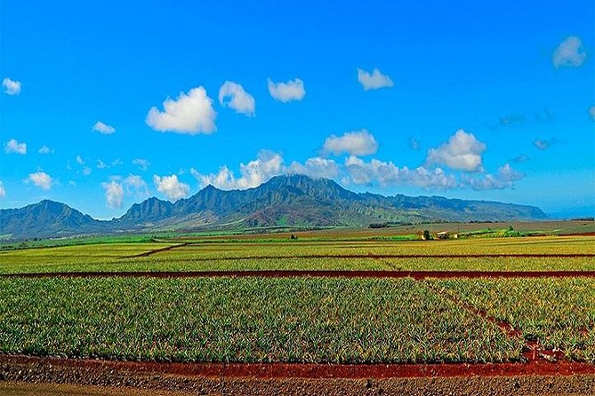 Oahu Grand Circle Island Tour Departing From Waikiki - Attractions and Highlights