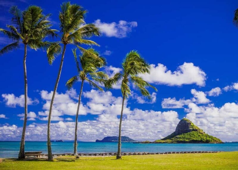 Oahu: Grand Circle Island Tour with Haleiwa - Practical Tips for the Tour