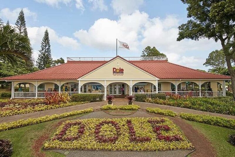 Oahu: Grand Circle Island Tour with Haleiwa - Final Thoughts