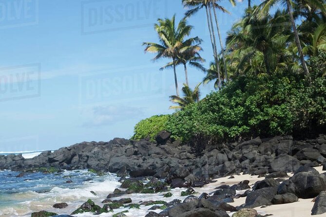 OAHU GRAND CIRCLE Waimea Waterfall, Turtle Beach, North Shore. - Traveler Reviews