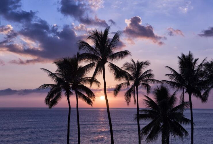 Oahu: Half-Day Sunset Photo Tour From Waikiki - Pickup and Flexible Booking