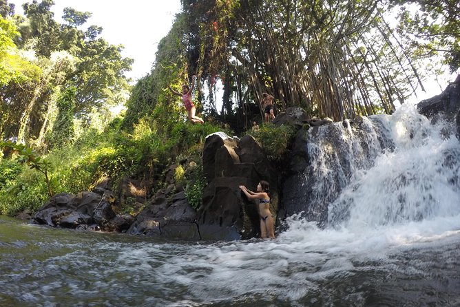 Oahu, Hawaii: Full-Day Private, Customized Tour - Pickup Options and Customization