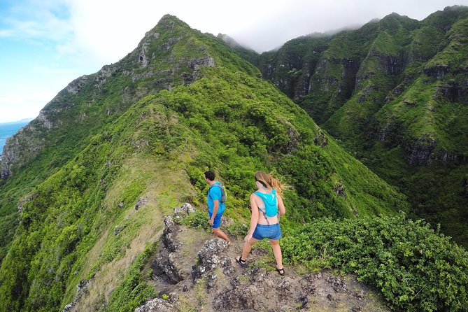 Oahu, Hawaii: Full-Day Private, Customized Tour - Traveler Feedback and Ratings