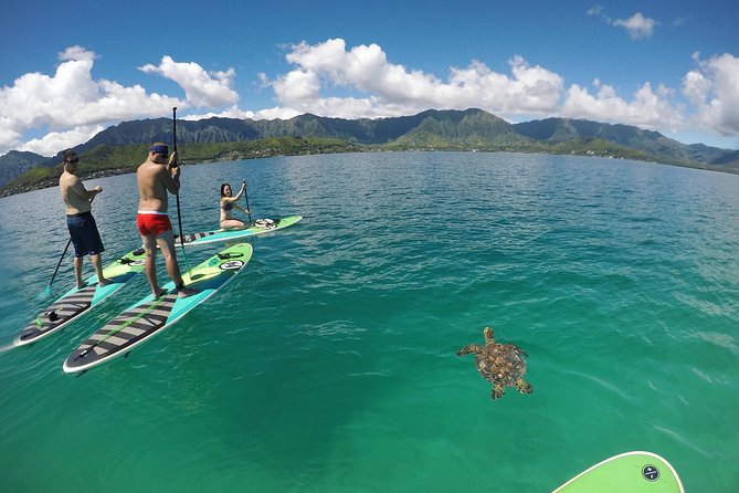 Oahu, Hawaii: Full-Day Private, Customized Tour - Common Questions
