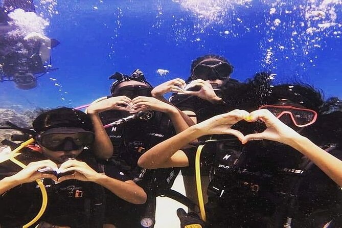 Oahu, Hawaii Small-Group Scuba Diving Tour Away From Crowds - Inclusions and Highlights