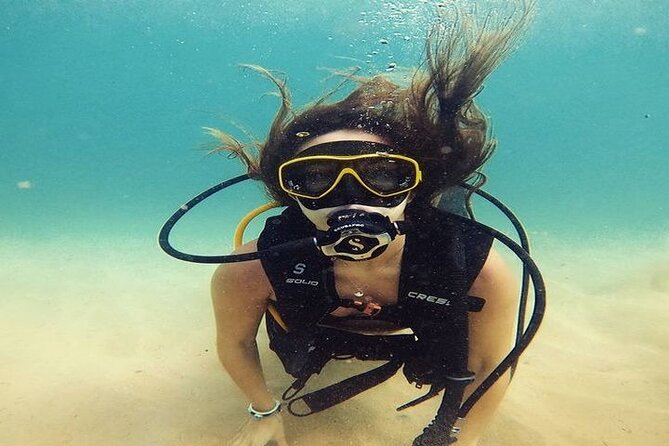 Oahu, Hawaii Small-Group Scuba Diving Tour Away From Crowds - Traveler Photos and Reviews