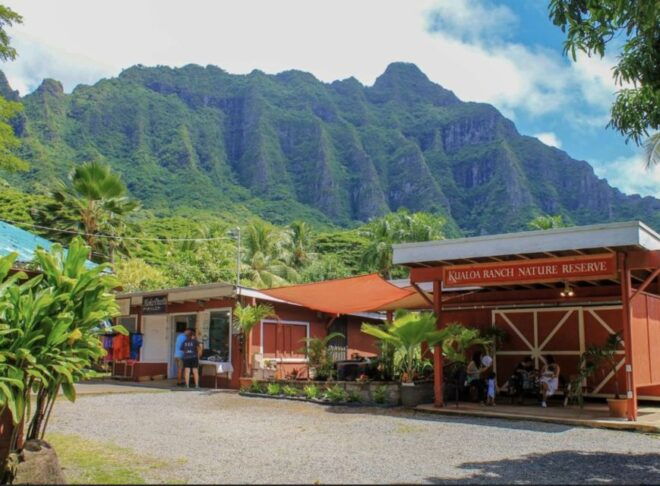 Oahu Hidden Gems & Waimea Botanical Garden/Waterfall Tour - Customer Reviews
