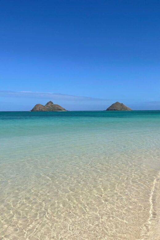 Oahu: Hidden Hawaii Waterfall Hike and Beach Tour - Starting with a Custom Pick-up & Introduction