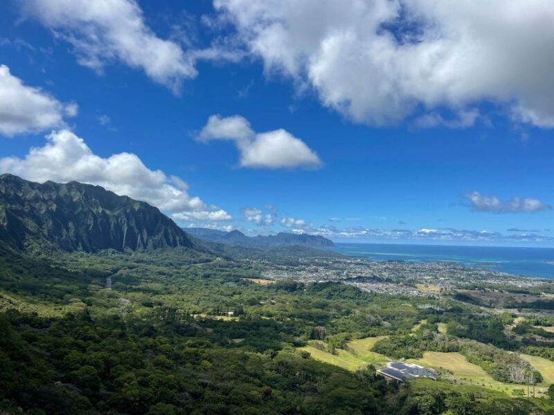 Oahu: Hidden Hawaii Waterfall Hike and Beach Tour - The Jungle Waterfall Hike