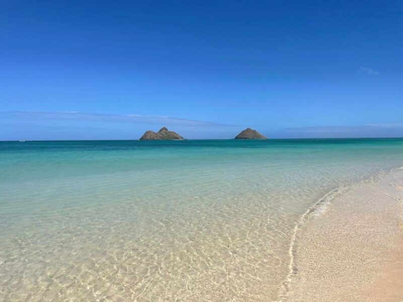 Oahu: Hidden Hawaii Waterfall Hike and Beach Tour - Flexibility & Booking Notes