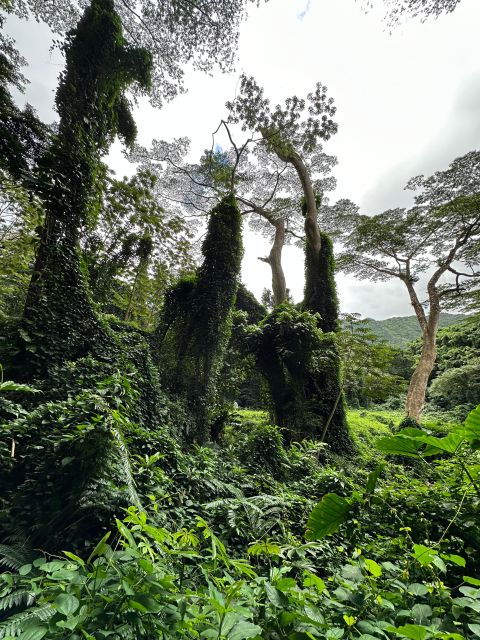 Oahu: Highlights of Oahu Small Group Tour - Additional Information and Location Details