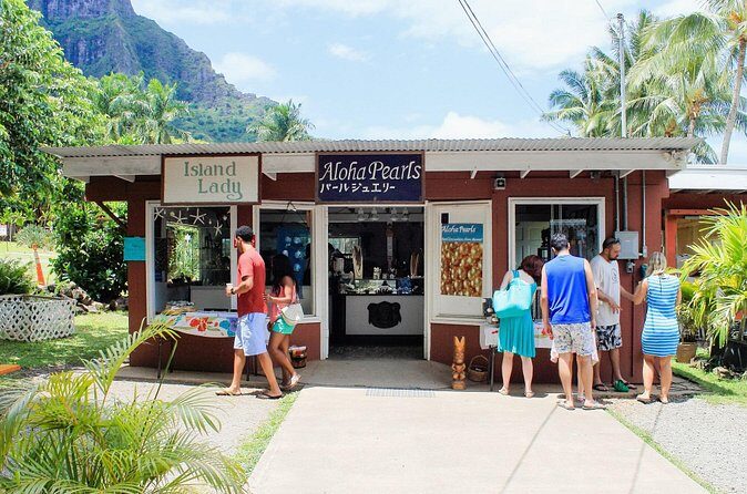 Oahu Highlights Private Tour: Nature, Views & Turtles in 6 Hours - The Sum Up