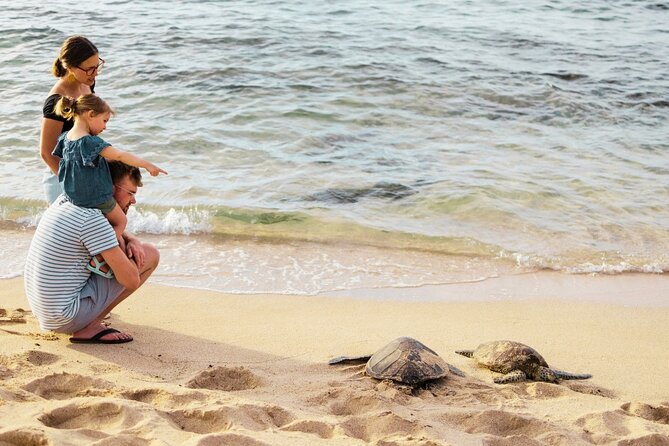 Oahu Highlights, Turtles & North Shore - Small Group Circle Island Tour - Exploring Haleiwa Town and Local Eateries