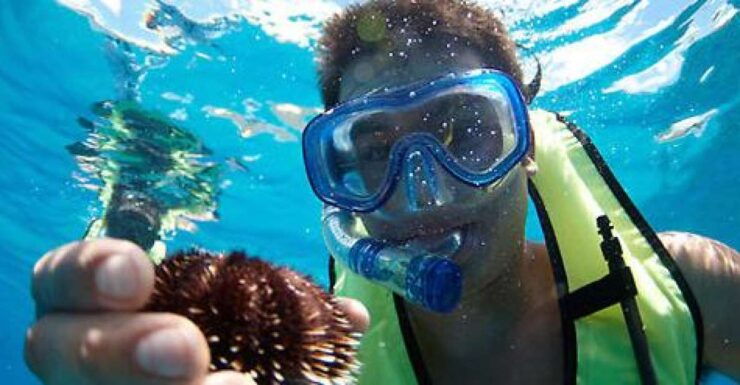 Oahu: Hilton Hawaiian Village Afternoon Snorkel Tour - Important Information