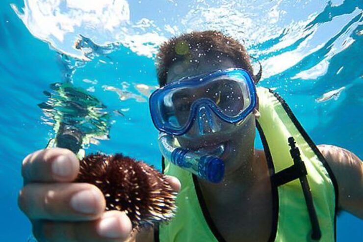 Oahu: Hilton Hawaiian Village Morning Snorkel With Lunch - Activity Details and Booking Information