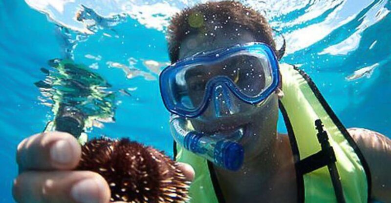 Oahu: Hilton Hawaiian Village Snorkel Tour - Why You Should Consider This Tour