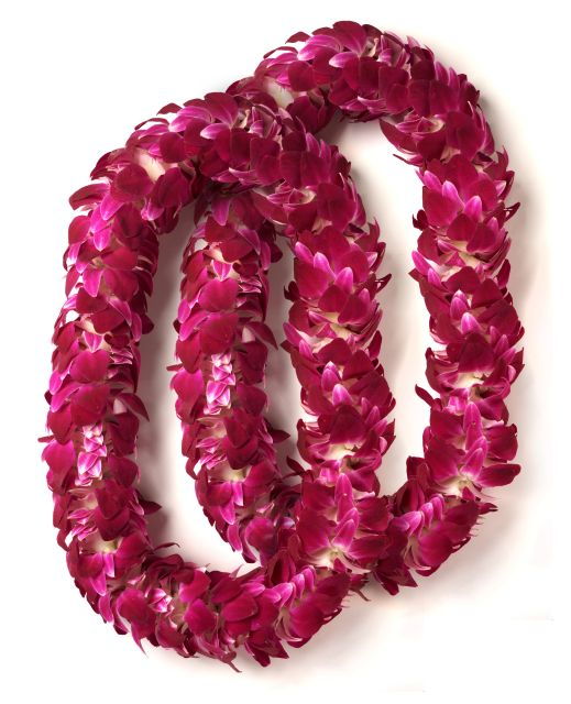 Oahu: Honolulu Airport (HNL) Honeymoon Lei Greeting - The Sum Up