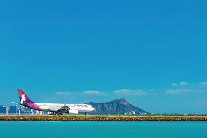 Oahu: Honolulu Airport Private Transfer - Customer Reviews