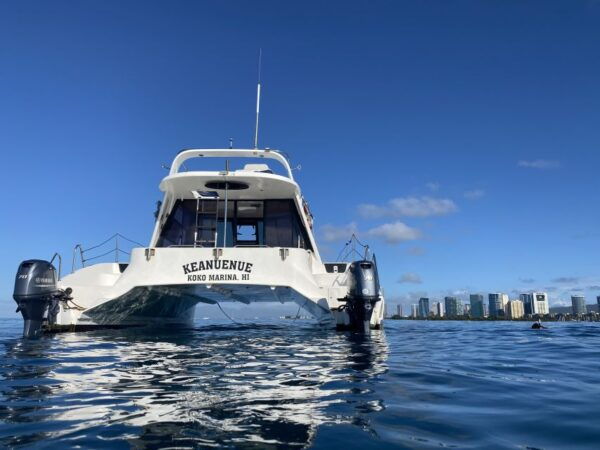 Oahu: Honolulu Private Catamaran Cruise With Snorkeling - Common Questions