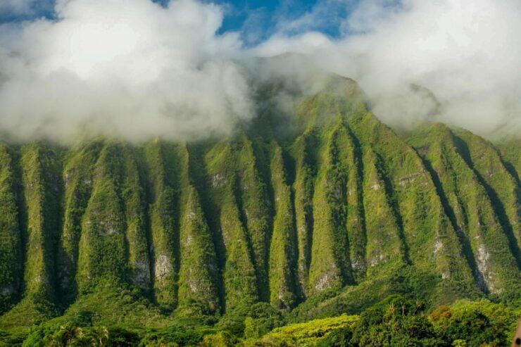 Oahu: Honolulu Sunrise Photos Tour With Malasadas - Activity Details