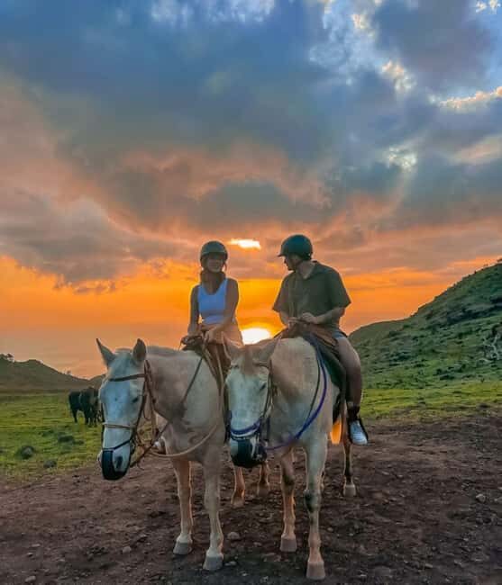 Oahu: Horseback Riding Sunshine or Sunset Tour - Good To Know