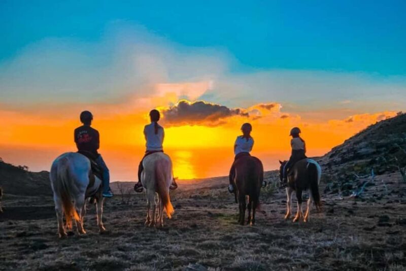 Oahu: Horseback Riding Sunshine or Sunset Tour - What to Expect from the Oahu Horseback Riding Tour