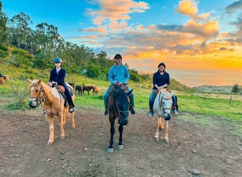 Oahu: Horseback Riding Sunshine or Sunset Tour - Who Should Consider This Experience