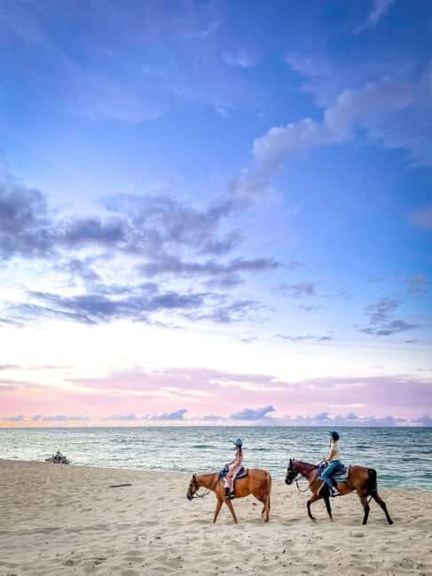 Oahu: Horseback Riding Tour on the North Shore - An In-Depth Look at the Horseback Riding Tour