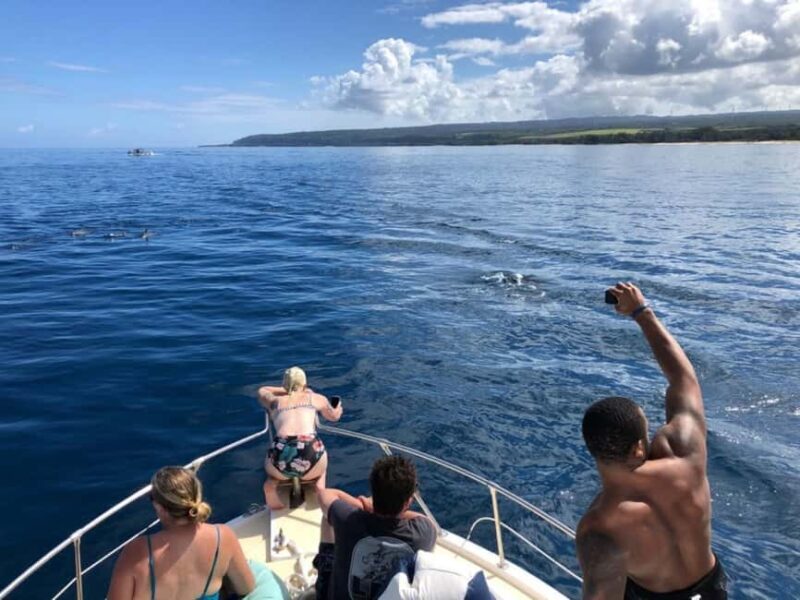 Oahu: Humpback Whale Watching Tour - FAQs