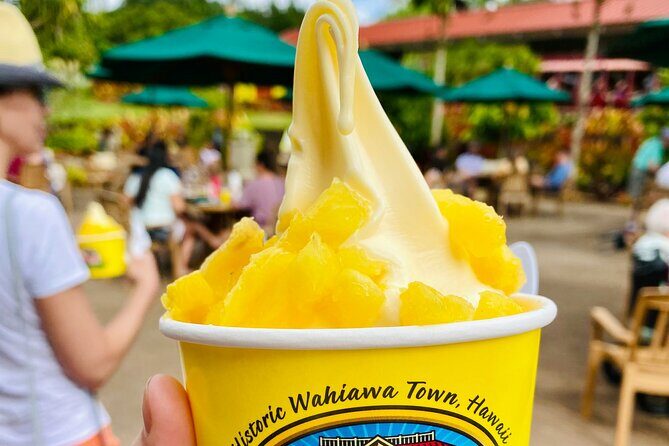 Oahu in a Day Private tour Figure 8 Adventure - FAQ