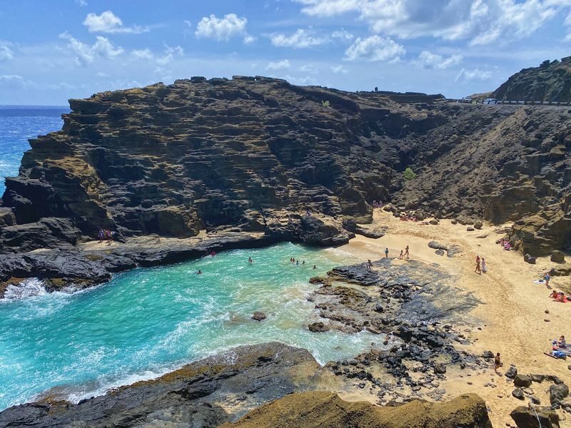Oahu Island and North Shore Half Day Trip - A full day beyond Waikiki