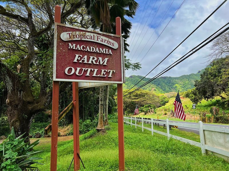 Oahu Island and North Shore Half Day Trip - Kuilima, Haleʻiwa and the chance of seeing turtles