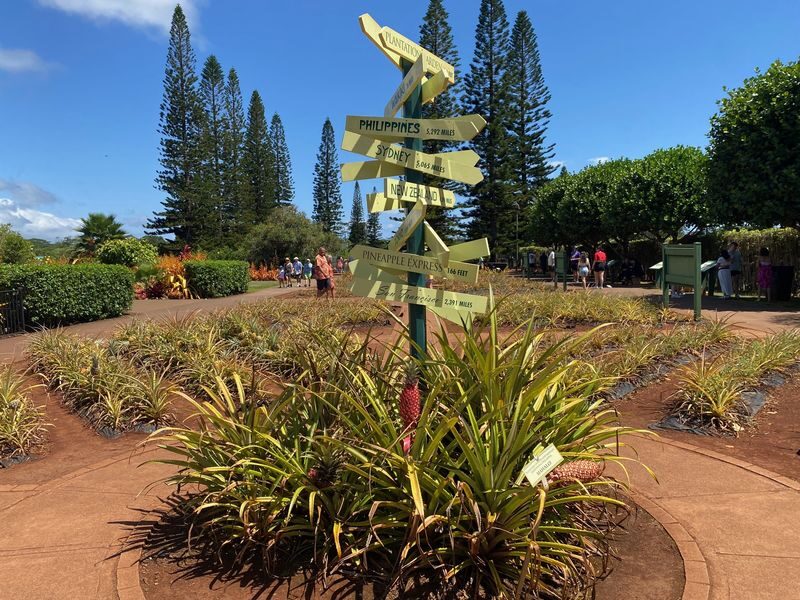Oahu Island and North Shore Half Day Trip - What the guide and vehicle add
