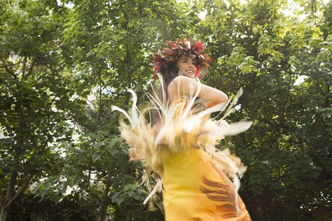 Oahu: Islands of Polynesia Tour & Live Cultural Performance - Important Information