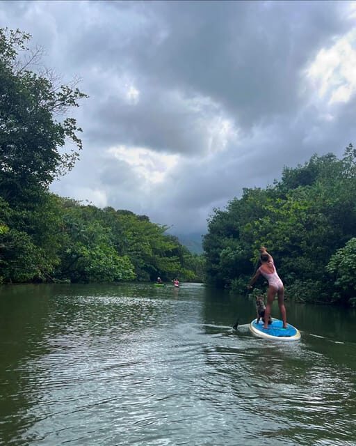 Oahu: Kahana River Stand-Up Paddleboard Rental - The Sum Up