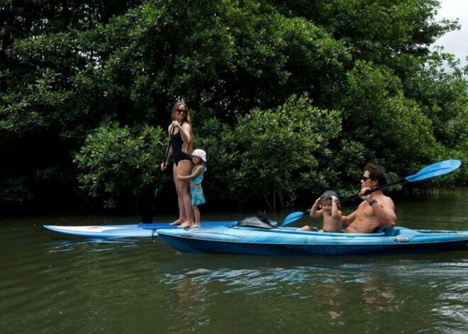Oahu: Kahana River Stand-Up Paddleboard (SUP) Rental - Paddling Experience