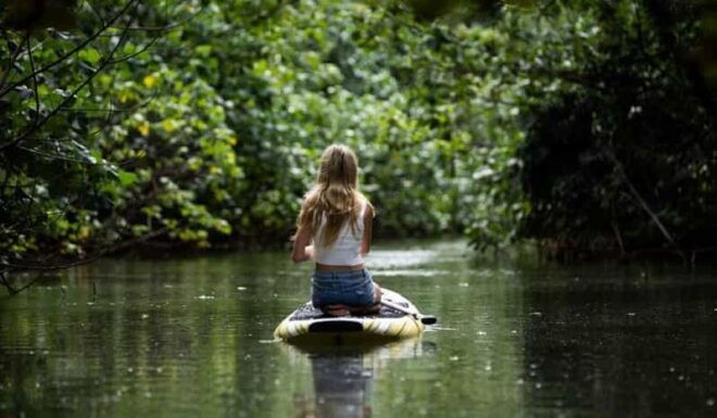Oahu: Kahana River Stand-Up Paddleboard (SUP) Rental - Health and Safety