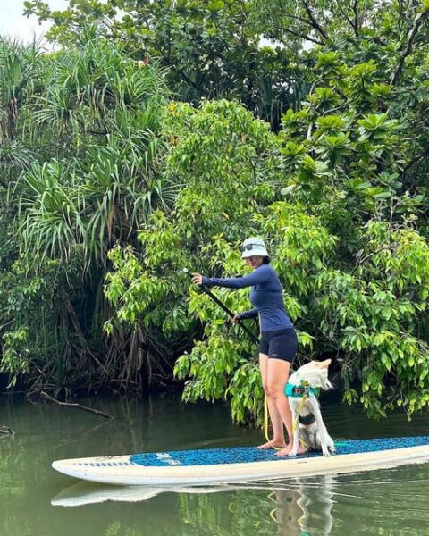 Oahu: Kahana River Stand-Up Paddleboard (SUP) Rental - Check-in and Arrival