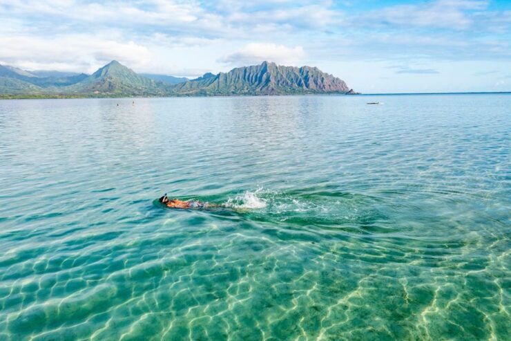 Oahu: Kaneohe Bay Coral Reef Kayaking Rental - Booking and Logistics