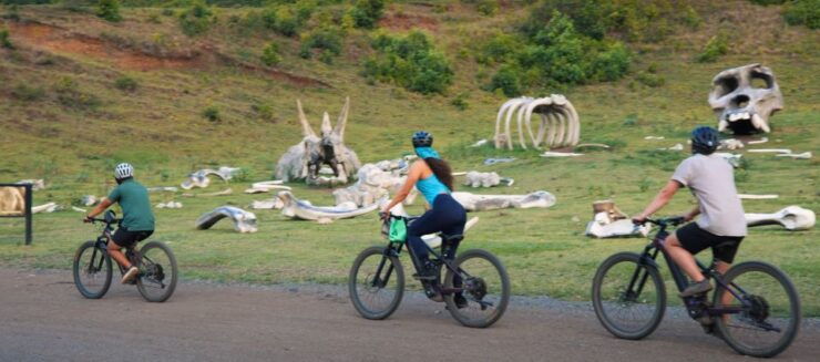 Oahu: Kualoa Electric Bike Tour - Tour Price