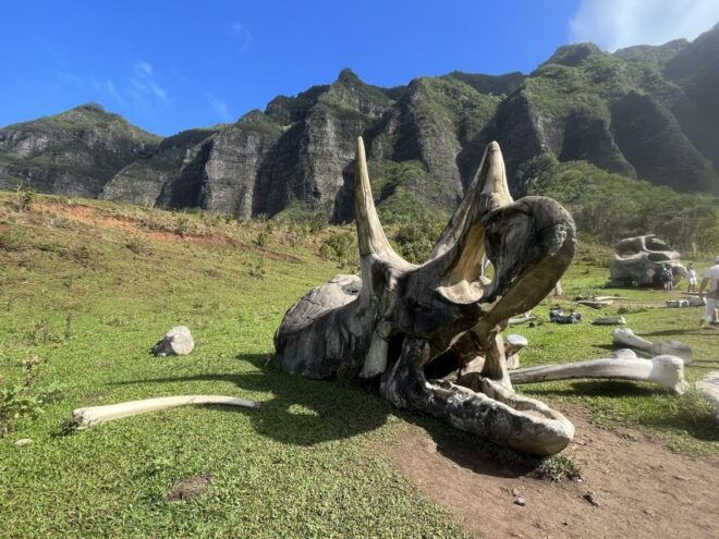 Oahu: Kualoa Movie Sites, Jungle, and Buffet Tour Package - Inclusions